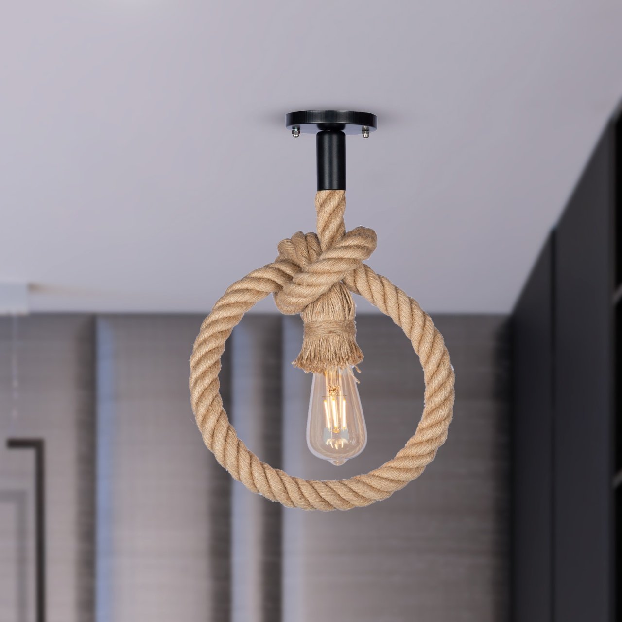 1 Light Rope Ceiling Lamp